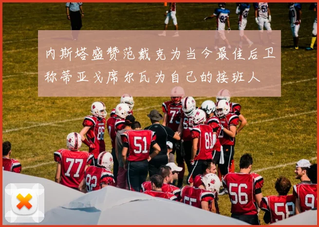 内斯塔盛赞范戴克为当今最佳后卫称蒂亚戈席尔瓦为自己的接班人