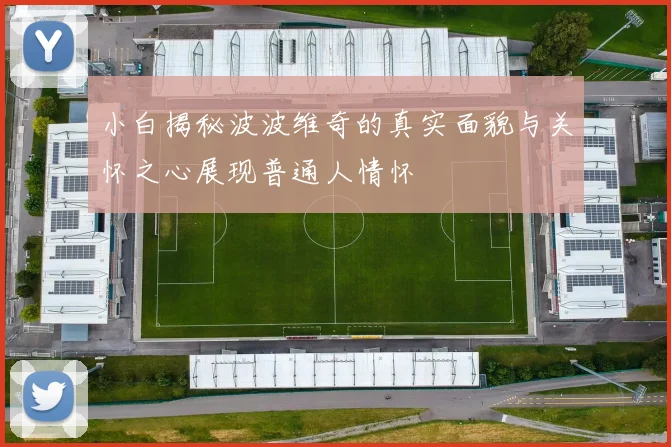 小白揭秘波波维奇的真实面貌与关怀之心展现普通人情怀