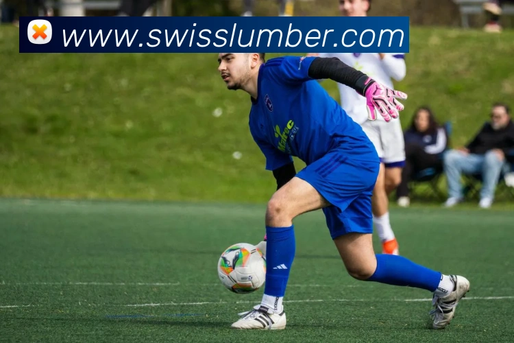 登录器